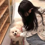 帝国的荣耀手游